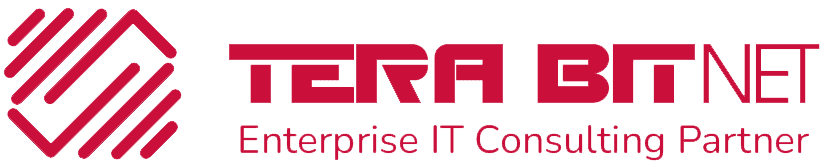 TERABIT NET LLC